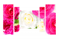 Модульная картина "Розочки"